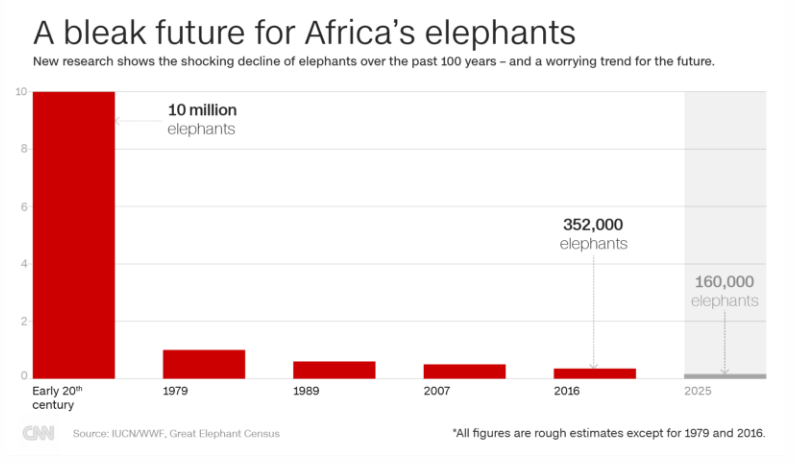Image result for a bleak future for africa's elephants