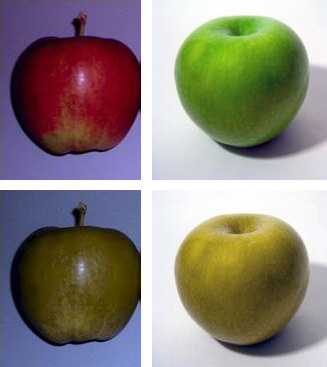 Side-by-side comparison of two images of apple...