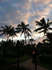 the view from the ground at sundown