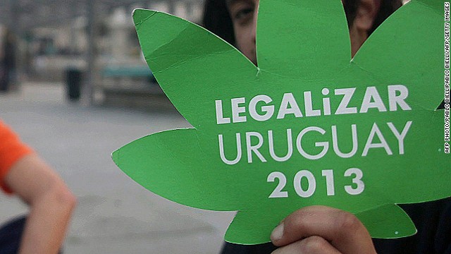 Legal Marijuana Market in Uruguay