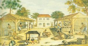 1670_virginia_tobacco_slaves