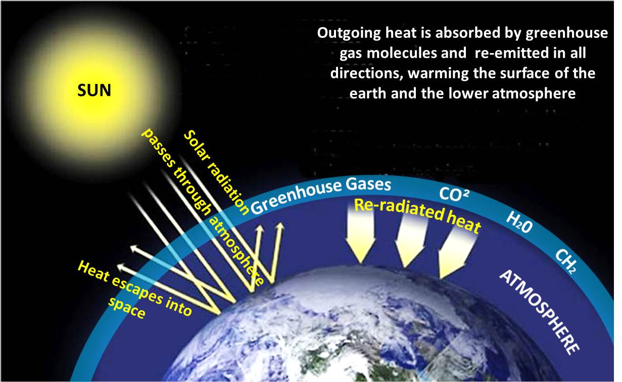 The State of the Climate: Human Intervention