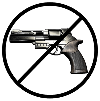 Federalism and the Gun issue