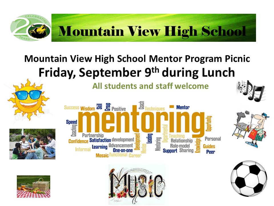 Mountain View School Wide Mentor Program Picnic