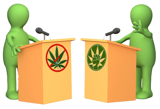 Voters Debate Marijuana