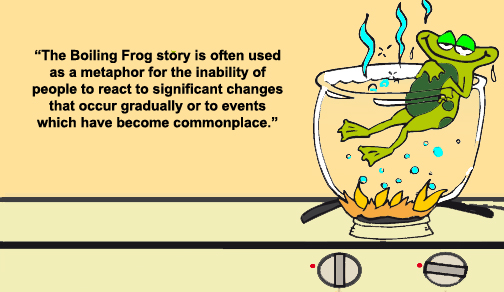 Are you the frog?