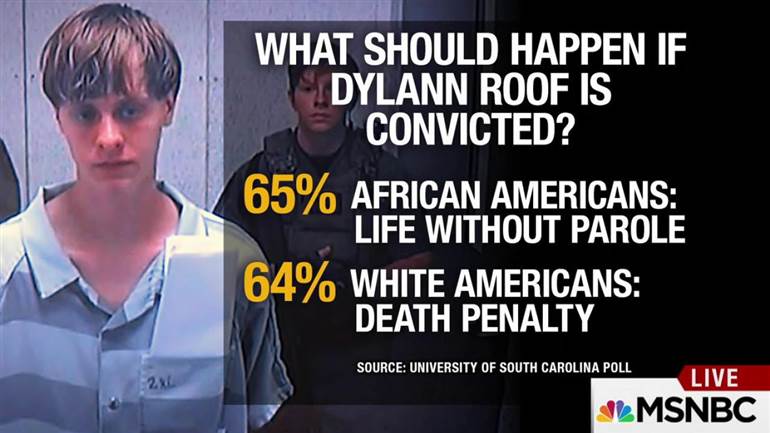 Image result for dylann roof