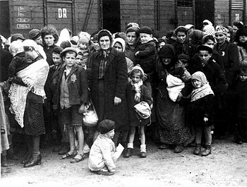 Auschwitz concentration camp, arrival of Hunga...