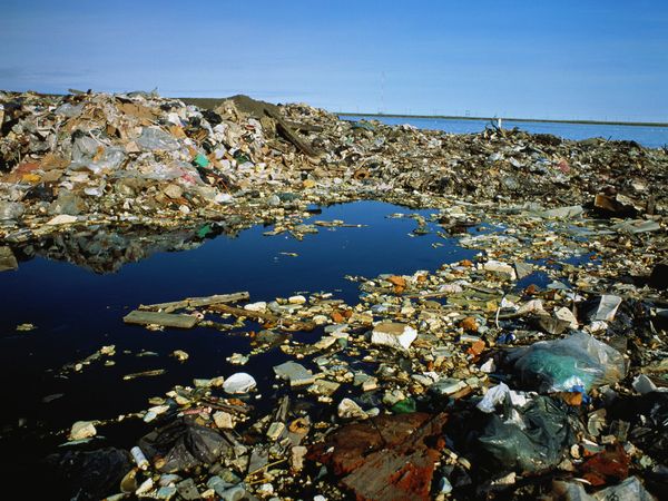 Image result for pollution in ocean