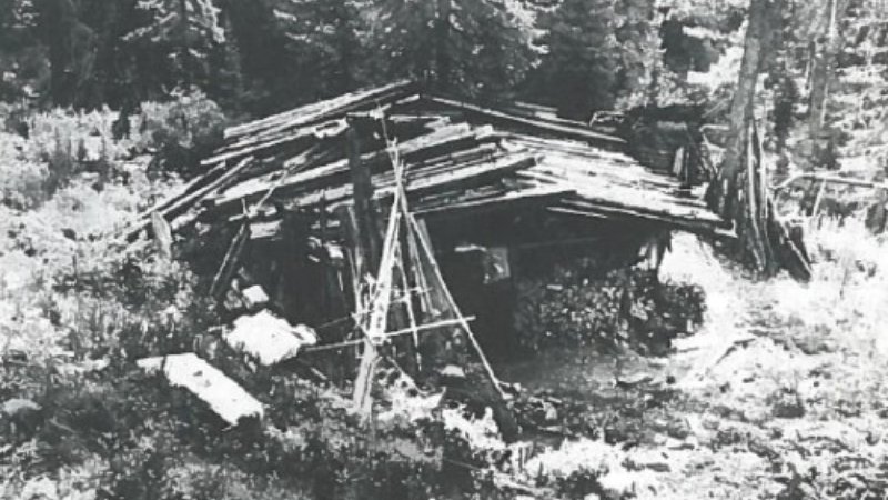 The Lykovs lived in this hand-built log cabin, lit by a single window “the size of a backpack pocket” and warmed by a smoky wood-fired stove.