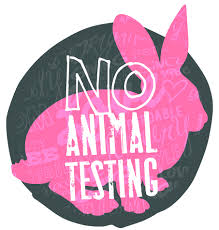 Insight on Cruelty-Free Makeup Brands