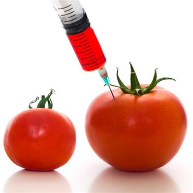 Whats the deal with genetically modified food?