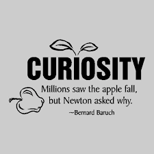 Curiosity