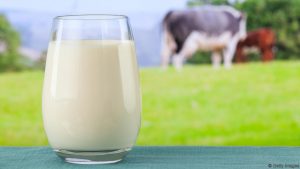 Dairy may not be healthy after all!