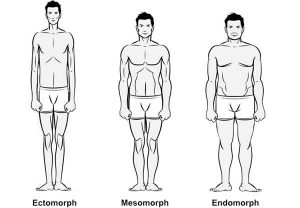 How different body types respond to weightlifting