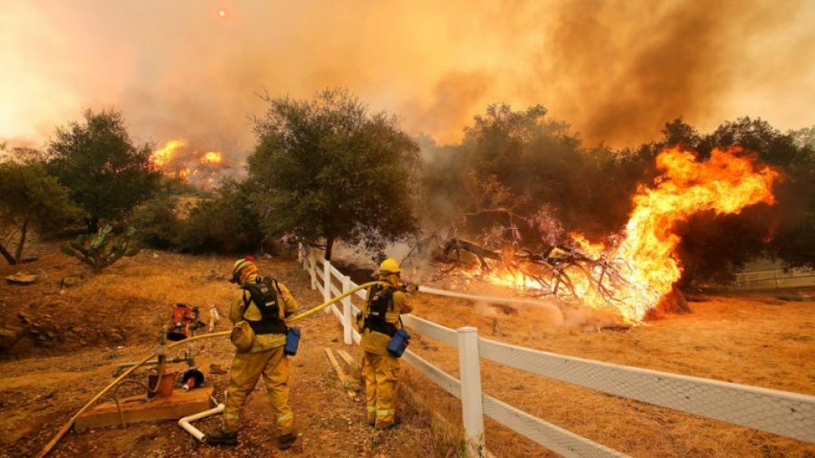 Wildfires in California, the best defense.