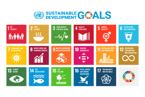THE UNITED NATIONS SUSTAINABLE DEVELOPMENT GOALS and   How we’re faring, 8 years down the road