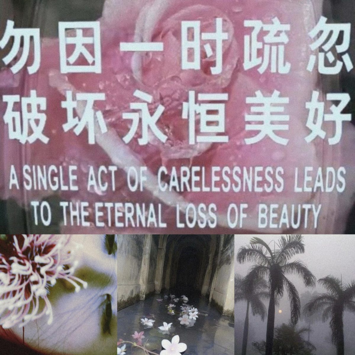 Diamonds or Broken Mirrors and Glass Shards
