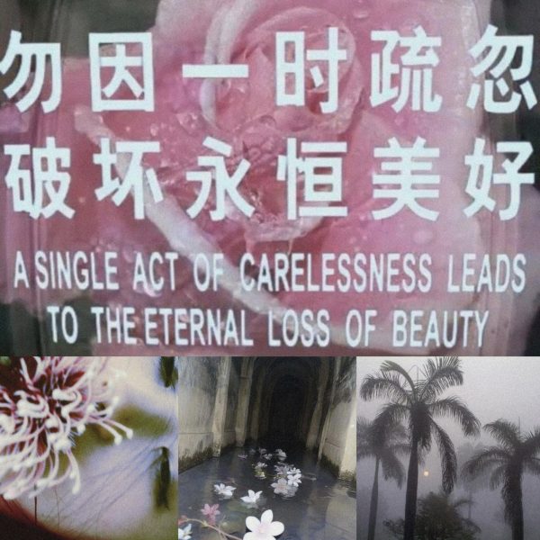 Diamonds or Broken Mirrors and Glass Shards