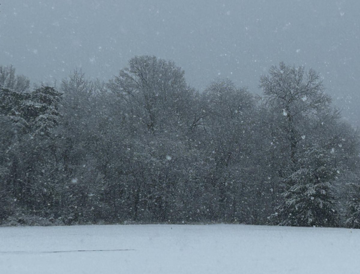 March Snow