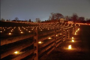 The Battle of Antietam and its Impact In American History.