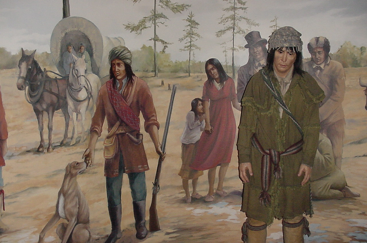 Trail of Tears: The Forced Relocation of Thousands of Native Americans