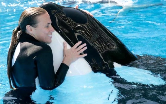 Ban orca shows at SeaWorld